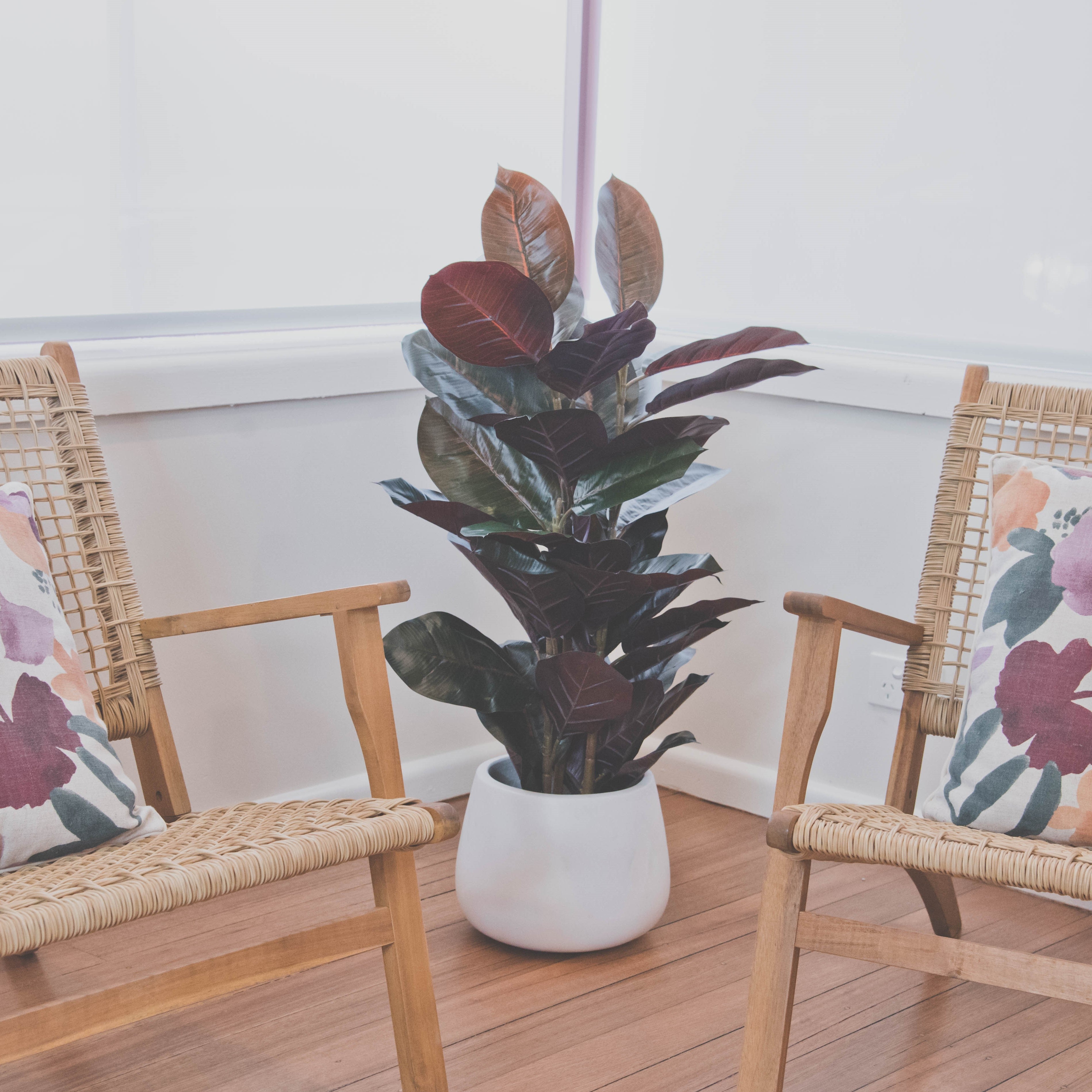 Holiday Airbnb and rental property styling using artificial plants - 7 creative ways to enhance indoor and outdoor spaces