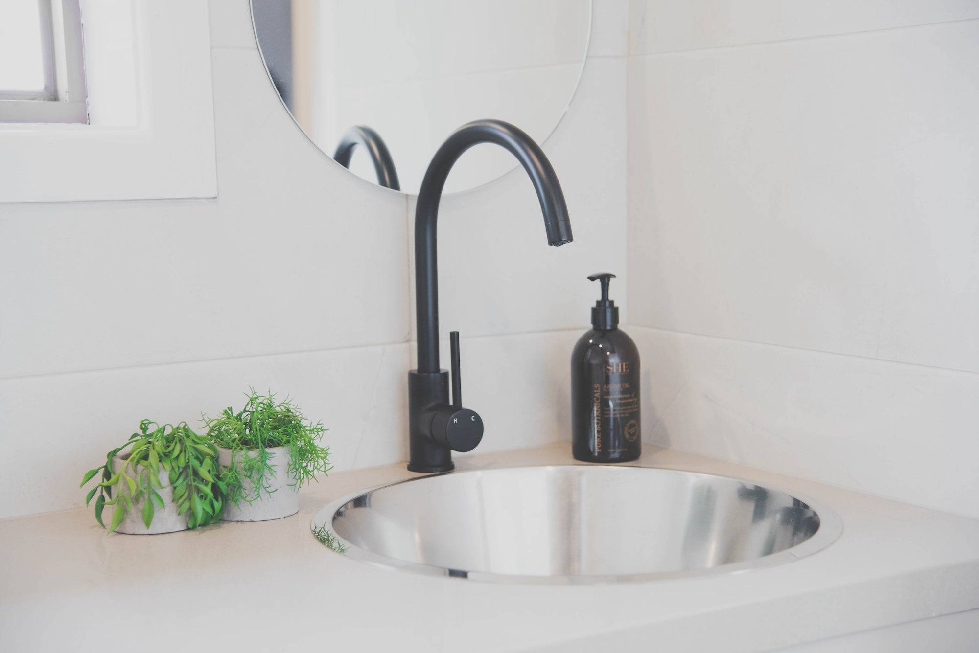 Economical plant varieties styled in a bathroom.