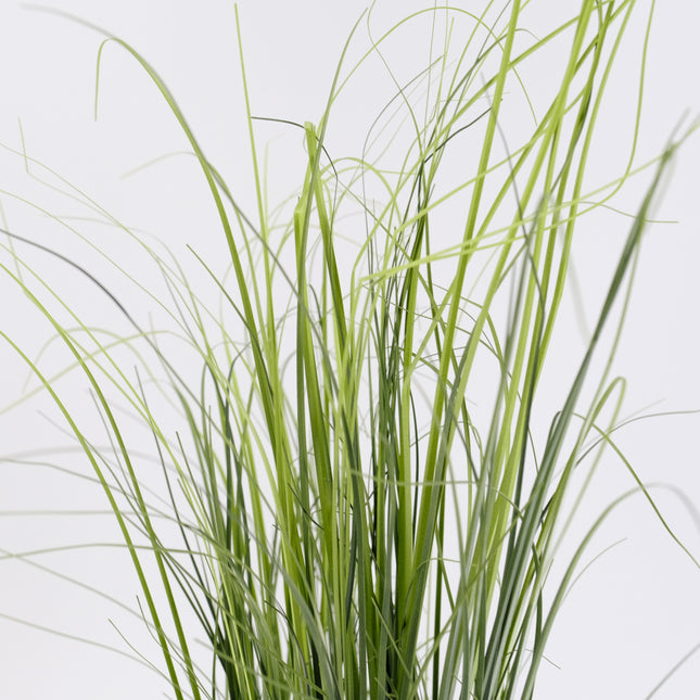 Artificial Onion Grass Plant 110cm