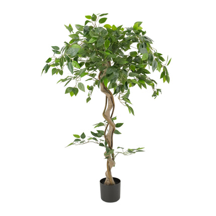 1.2m tall Artificial Ficus Tree with a decorative twisted trunk and  decorative vines in the Japanese Fruticosa style