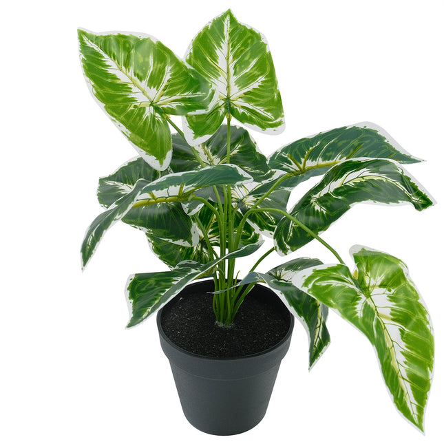 Artificial plant Australia Arrowhead Vine