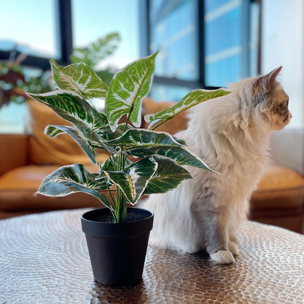 Artificial Arrowhead Vine with cat