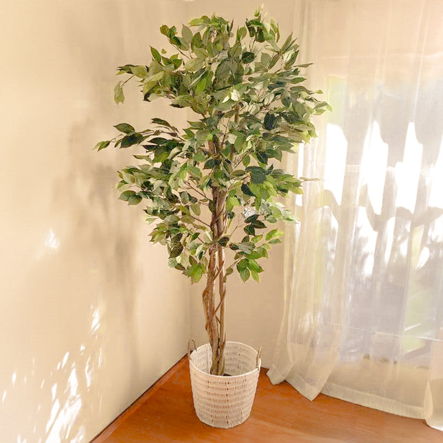 Artificial Ficus Tree Indoor