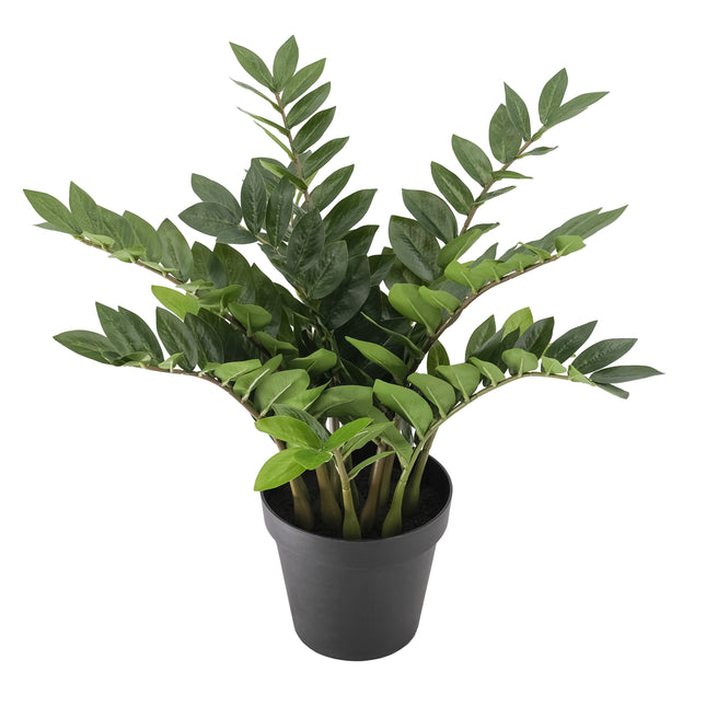 Artificial Plant - 70cm potted Zanzibar plant