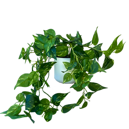 Artificial Devil's Ivy Plant 35cm