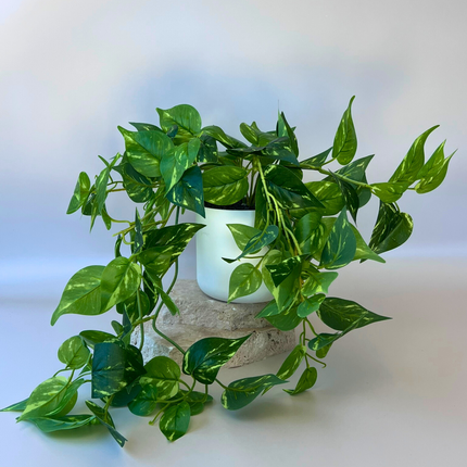 Artificial Devil's Ivy Plant 35cm