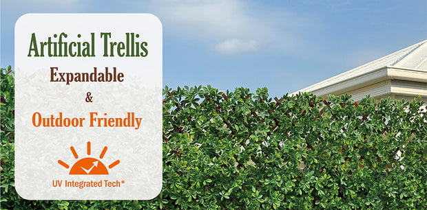 Expanding Trellis Outdoor Australia