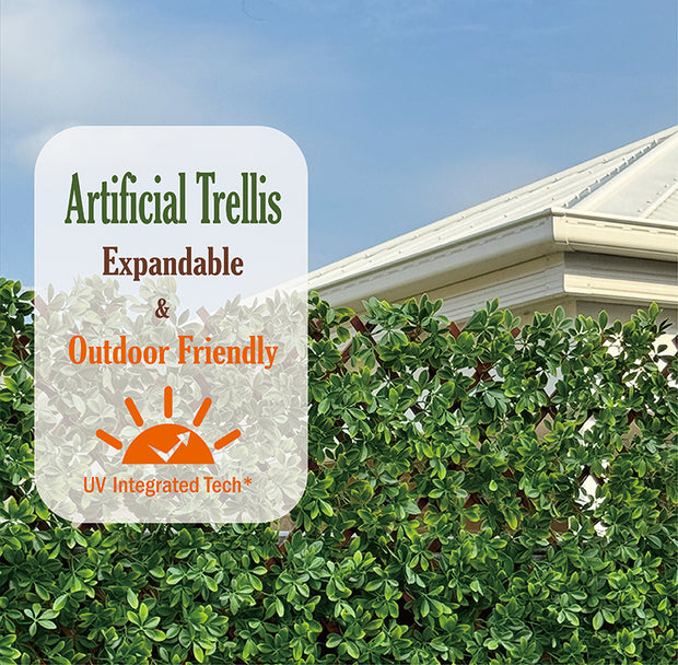 Expanding Trellis Outdoor Australia