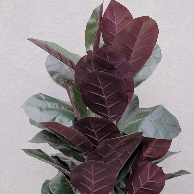 Fake Burgundy Rubber Plant