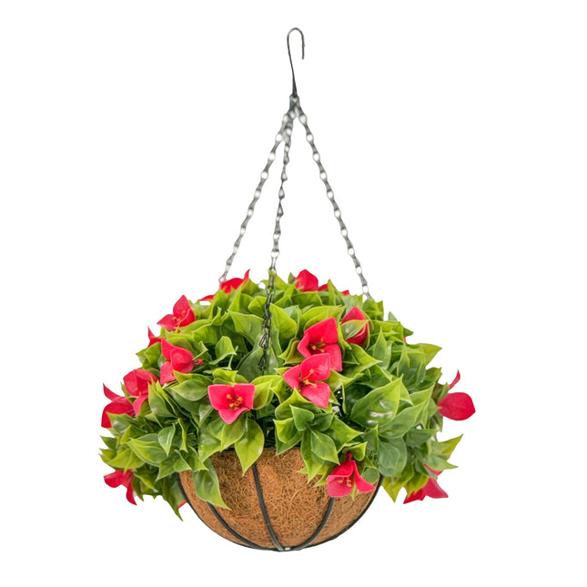 Hanging Baskets