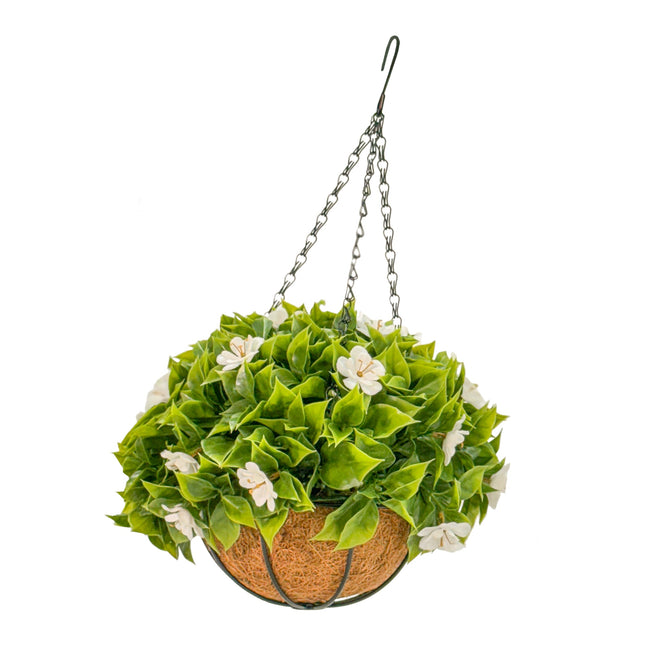 Hanging Baskets