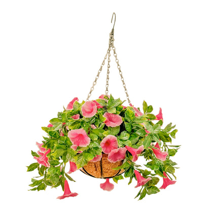 Hanging Baskets