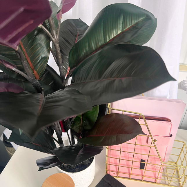 Artificial Burgundy Rubber Plant 70cm