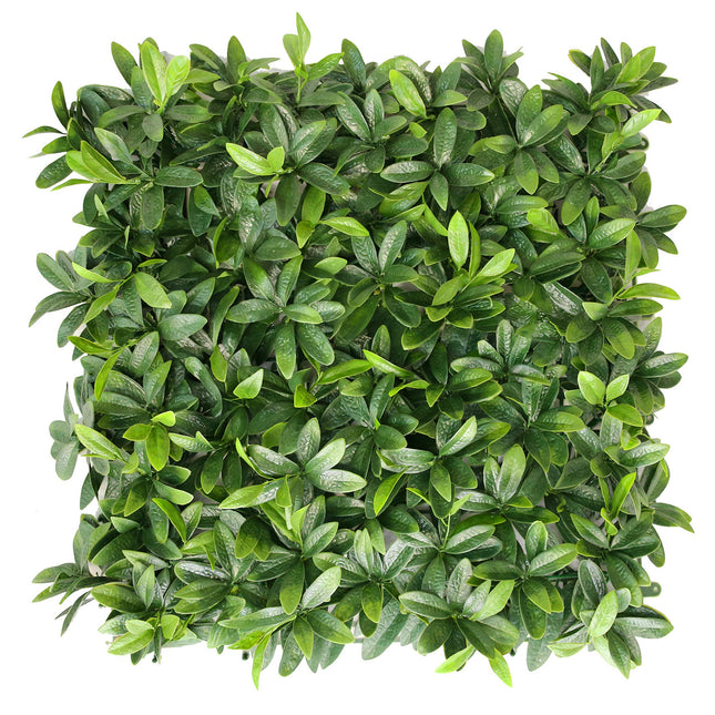 Artificial Laurel Hedge outdoor greenwall