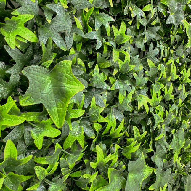 Artificial Hedge - English Ivy 50x50cm