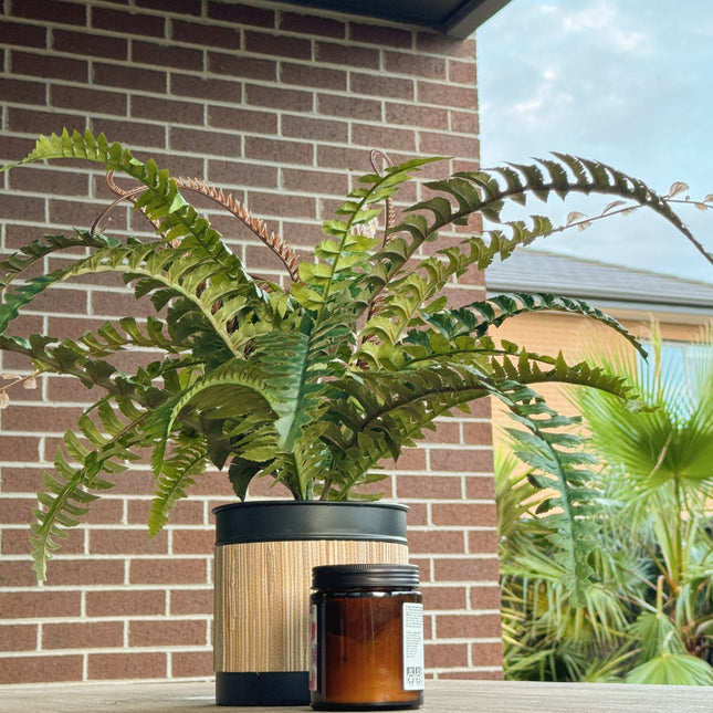 Artificial Plant - Boston Fern in Bamboo pot