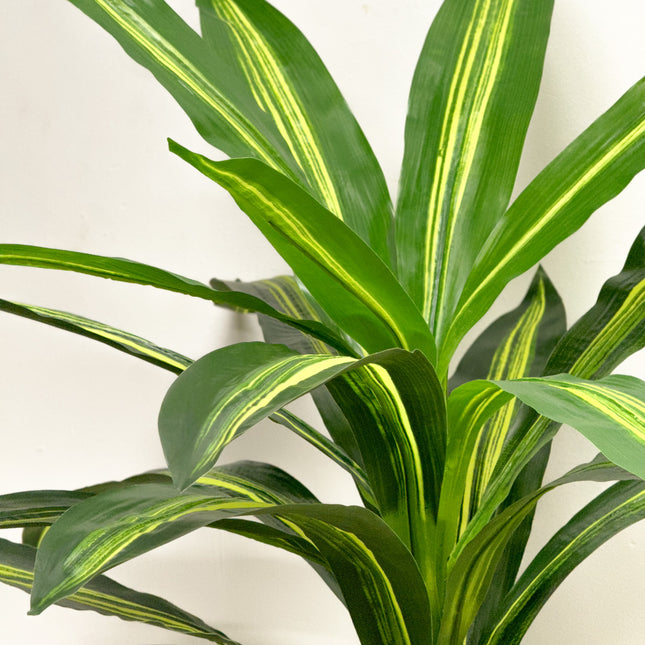 Artificial Dracaena Plant 90cm