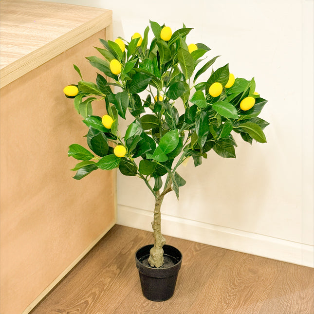 Artificial Citrus Lemon Plant on timber floor