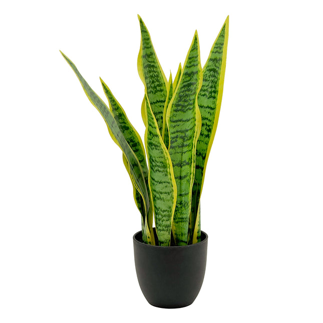 Artificial Sansevieria Plant