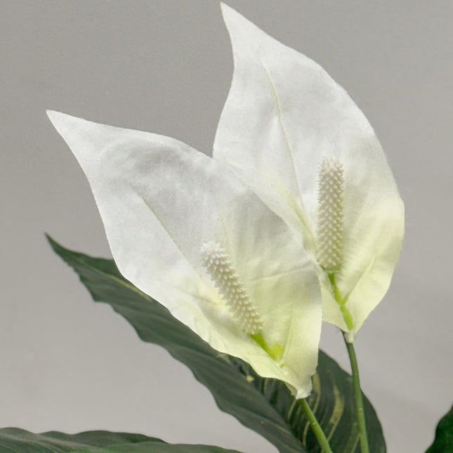 Artificial Anthurium Plant White 55cm