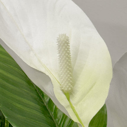 Artificial Anthurium Plant White 55cm