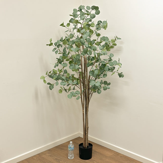 180cm Artificial Eucalyptus Tree in black colour pot