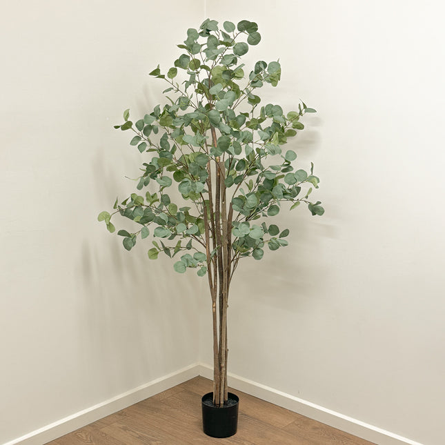 Artificial Eucalyptus Tree 180cm