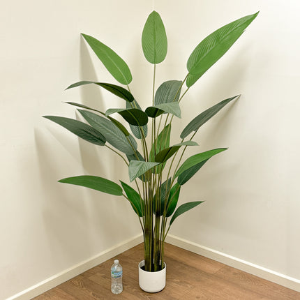 180cm Artificial Bird of Paradise Tree in white pot