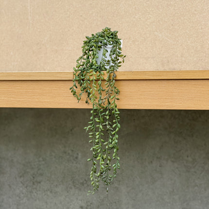 Artificial String of Pearls Trailing Plant