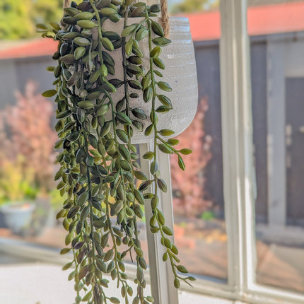 Artificial Hanging String of Pearls Plant with white Ceramic Pot 50cm