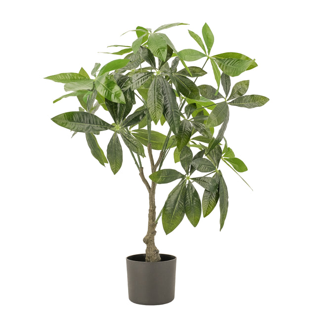 Artificial Fortune (Money) Tree in black pot