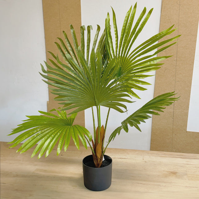 Artificial Fan Palm Plant 