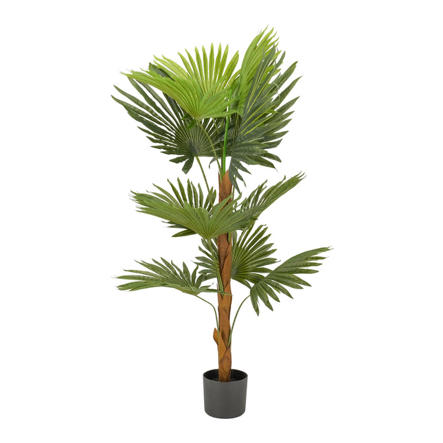 Artificial Fan Palm plant in black pot