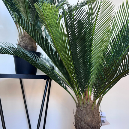 82cm artificial Cycad Palm Plant displayed alongside a table and a small Cycad Palm Plant 