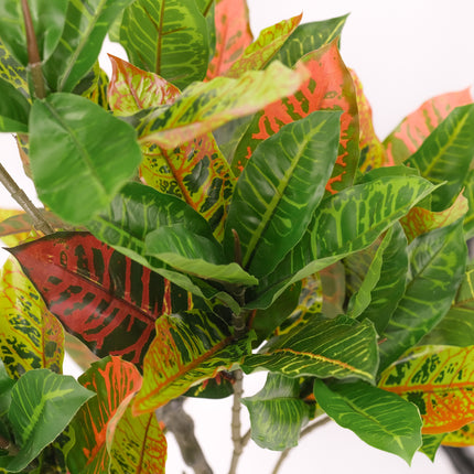 Artificial Petra Croton Plant