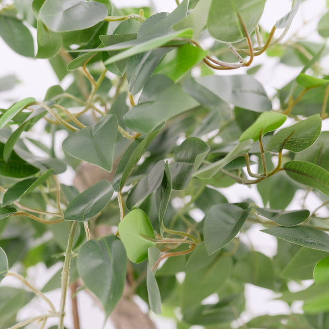 Artificial Ficus Tree with Japanese Fruticosa Style