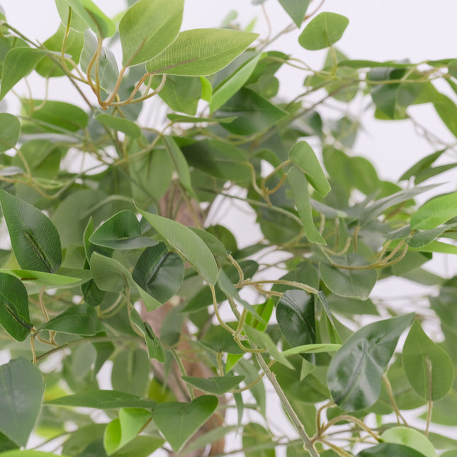 Artificial Ficus Tree details