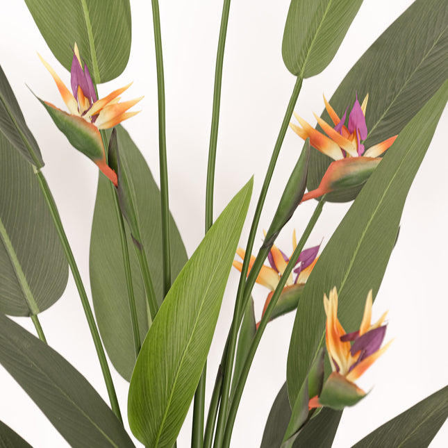 Large Artificial Plants - Giant Bird of Paradise with flowers 180cm