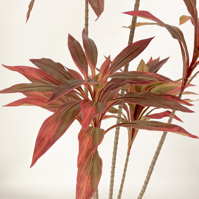 Large Artificial Plants - Dracaena Tree with red leaves 180cm