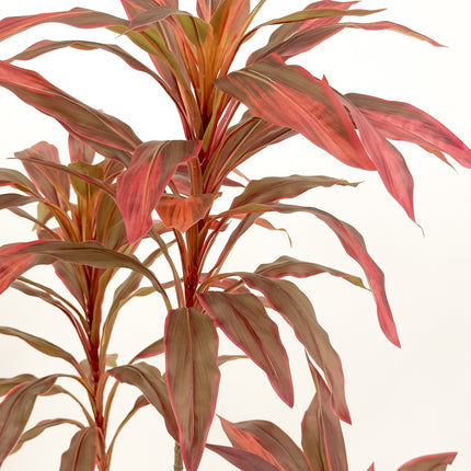 Large Artificial Plants - Dracaena Tree with red leaves 180cm