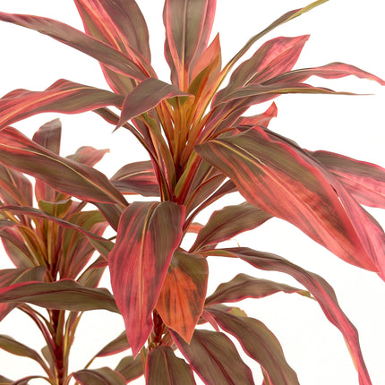 Large Artificial Plants - Dracaena Tree with red leaves 180cm