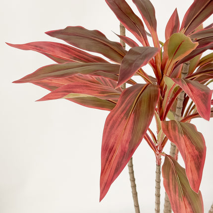 Large Artificial Plants - Dracaena Tree with red leaves 180cm