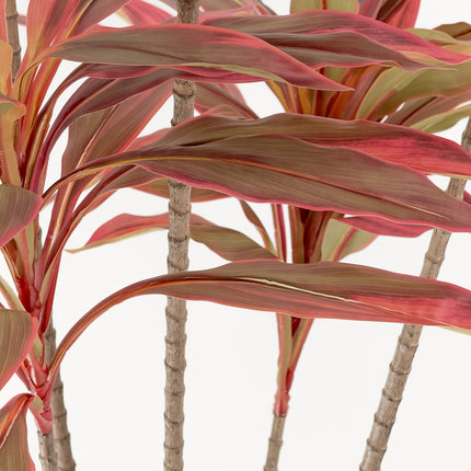 Large Artificial Plants - Dracaena Tree with red leaves 180cm