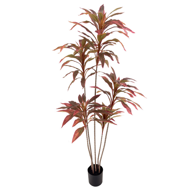 Artificial Dracaena plant with red leaves