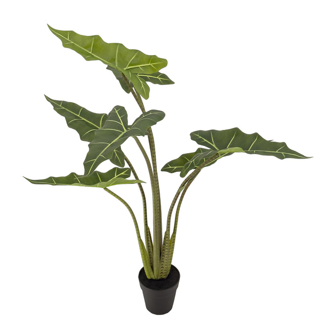 Artificial Alocasia (Elephant Ears) Plant