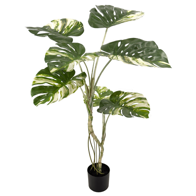 Potted Artificial Plant Variegated Monstera Deliciosa