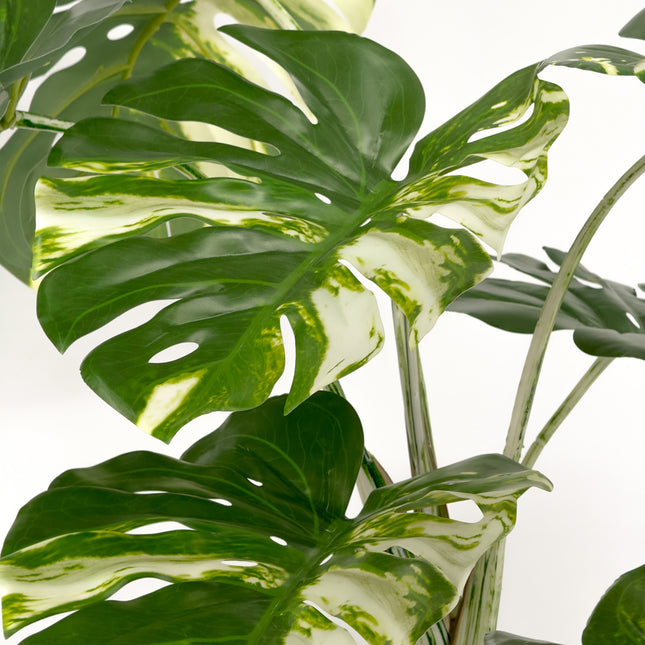 Large Artificial Variegated Monstera Deliciosa Plants 180cm