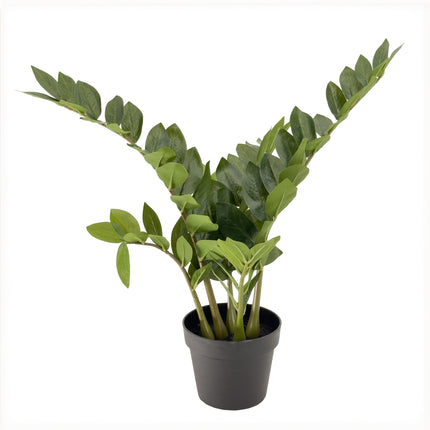 Artificial Zanzibar Plant in black colour pot