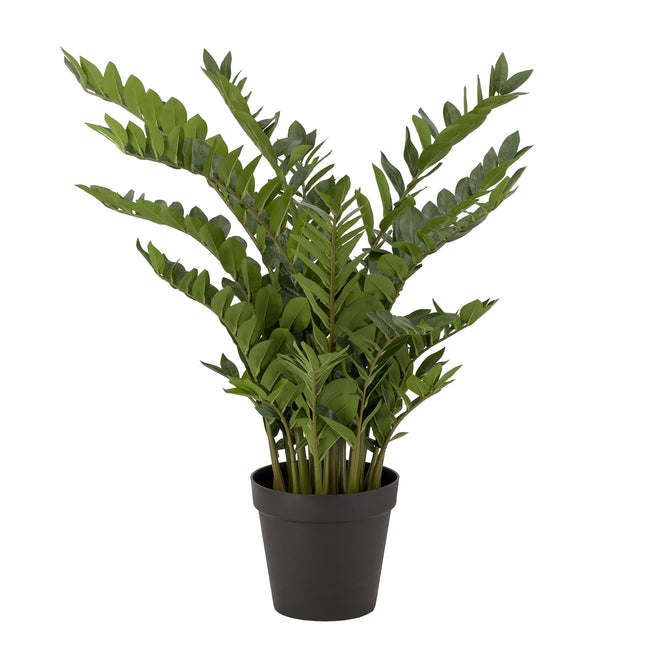 Artificial Zanzibar Plant in black colour pot