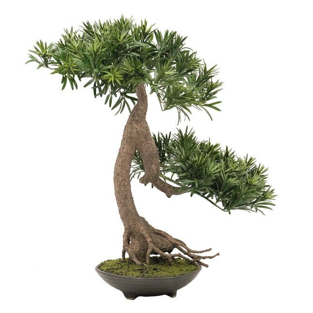 Artificial Plant Buddhist Pine Bonsai Slanting (Shakan)